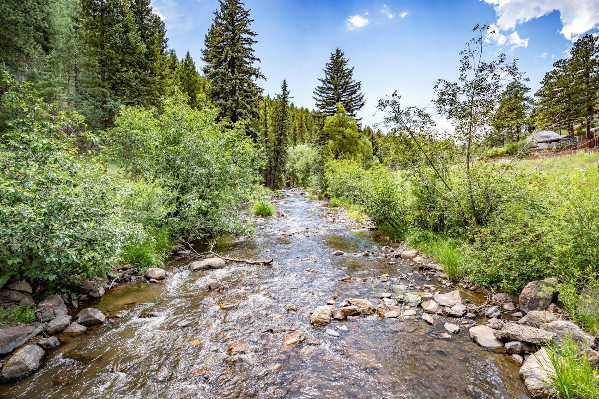 Colorado Bear Creek Cabins 에버그린 객실 사진